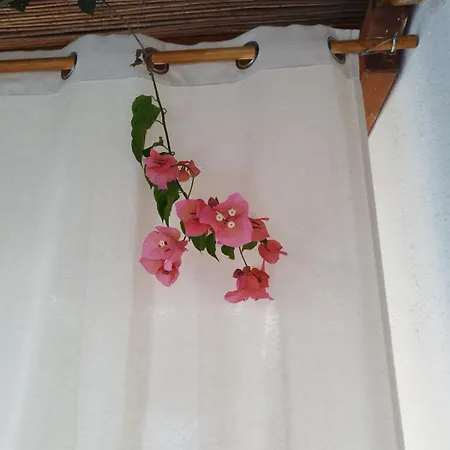 Iro's Cute House Lejlighed Páros