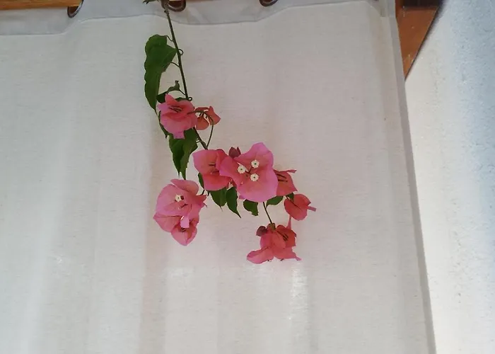 Iro's Cute House شقة باروس