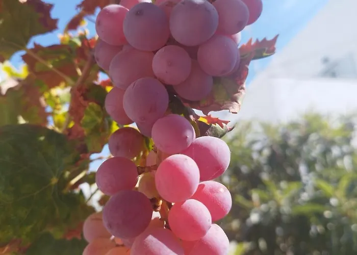 Apartament Iro's Cute House *